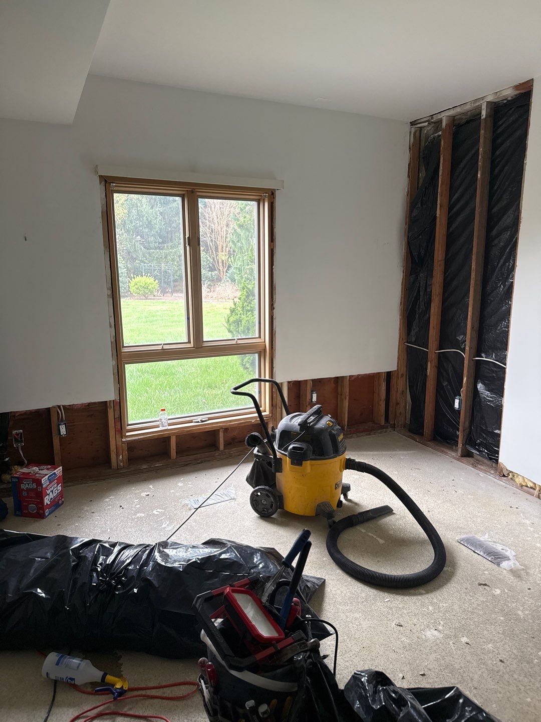 Mold Remediation & Moisture Source Discovery, Middletown, De. by Healthy Home Solutions