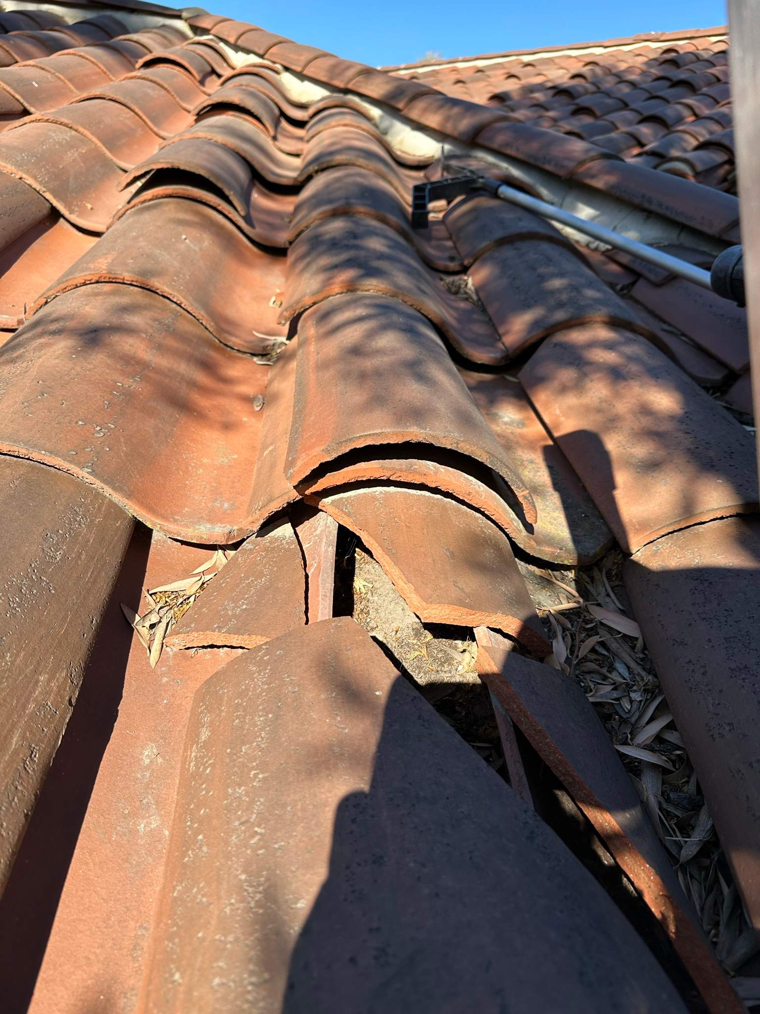 Orange County Gutter Cleaning by Property Cleaning Experts, LLC