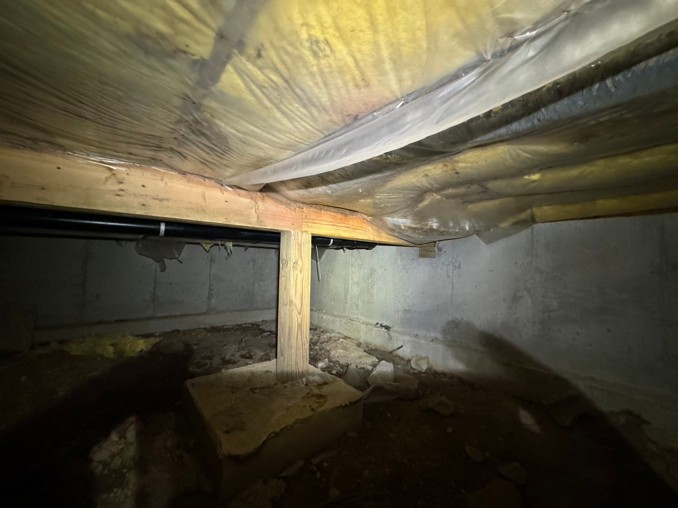 Mold Remediation (Basement) using Home Guarantee by Home Guarantee, LLC