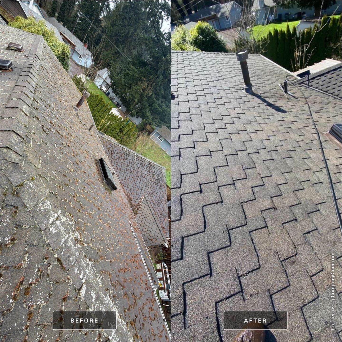 Roof Cleaning – Everett, WA by Everpro Construction
