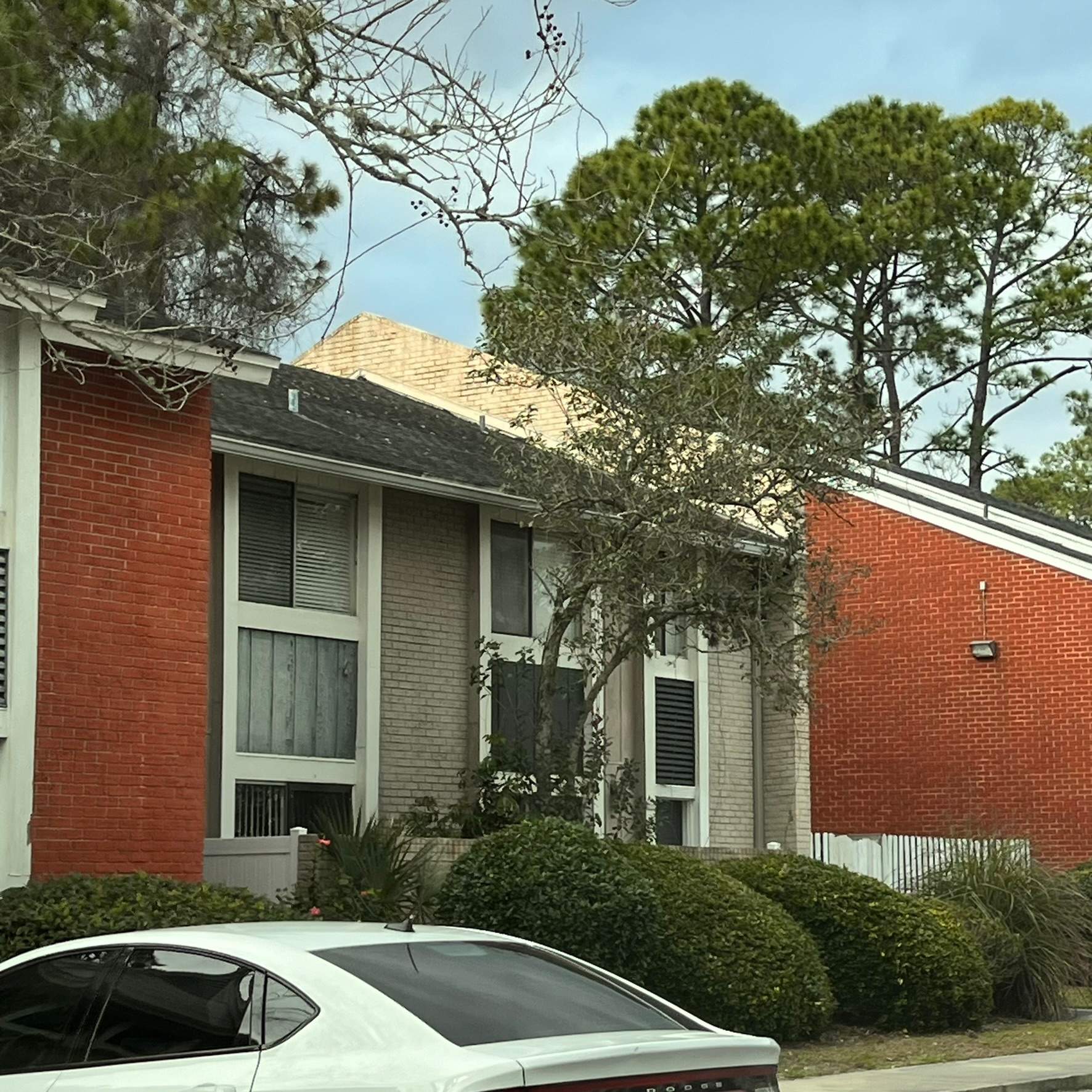 Tree Trimming | Preserve at San Jose by ProGreen Services
