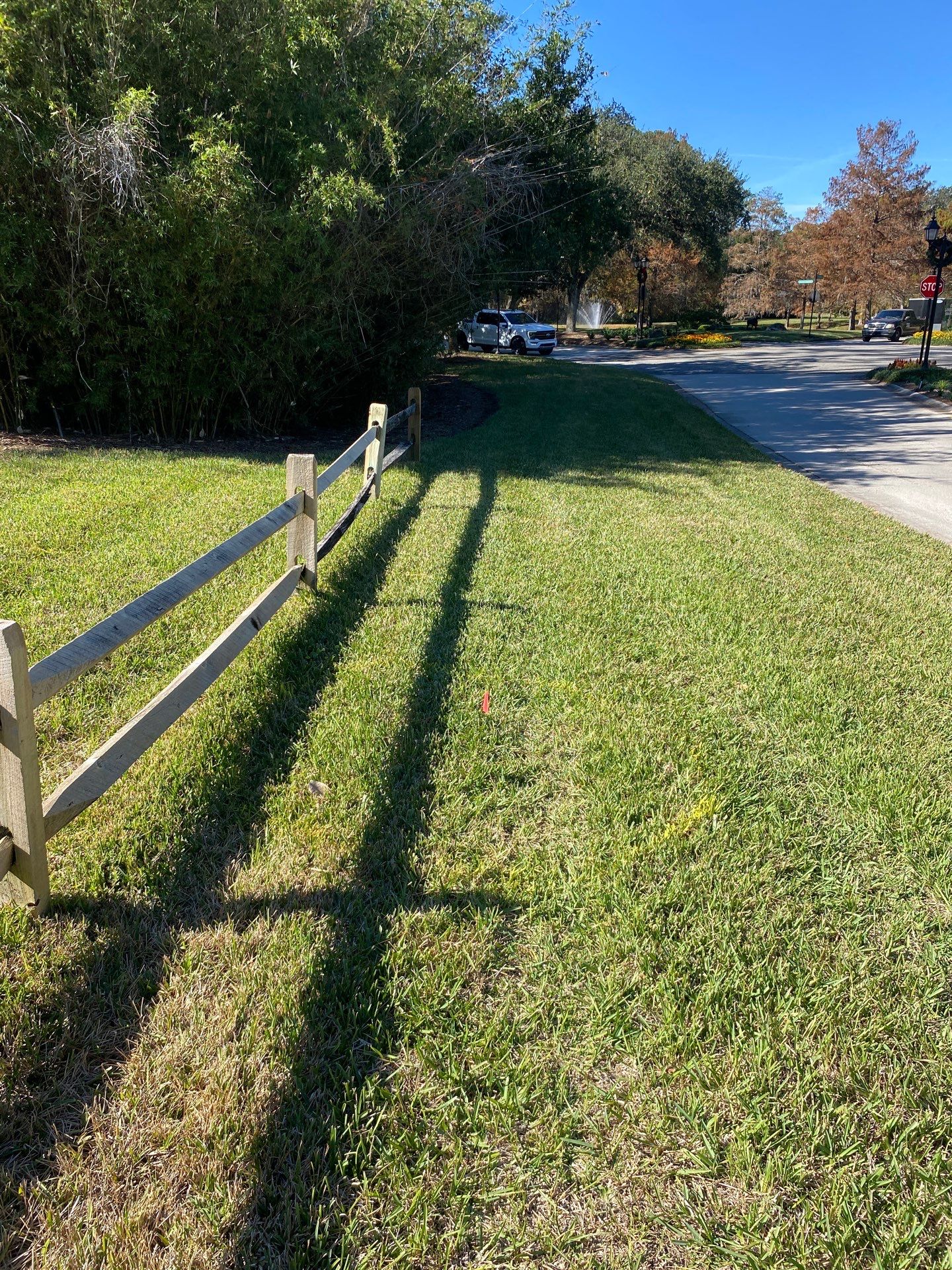 Deerwood Community | Oak Tree Replacement Project by ProGreen Services