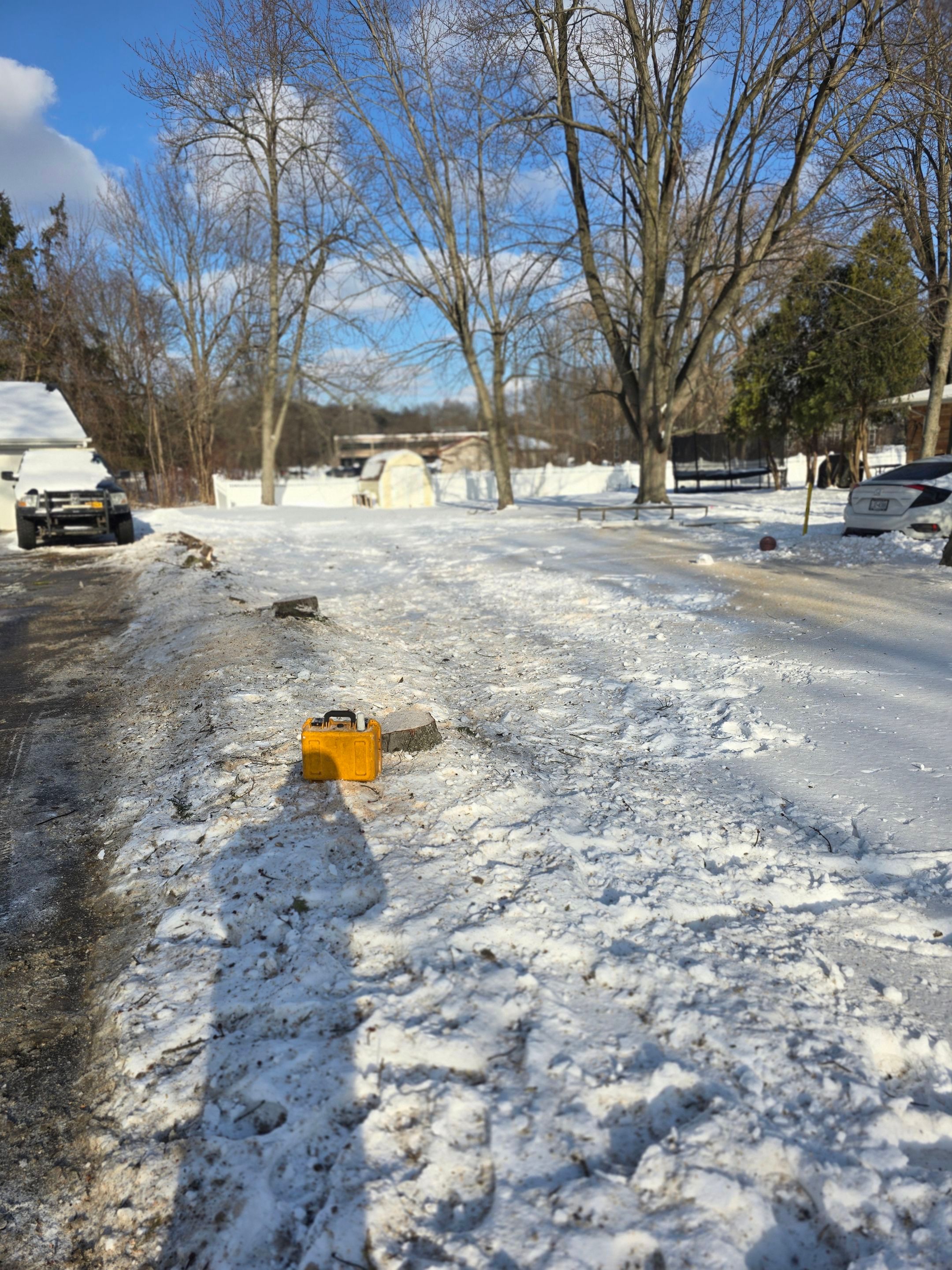 Tree Removal: Future Drive install by Treeman Tom LLC