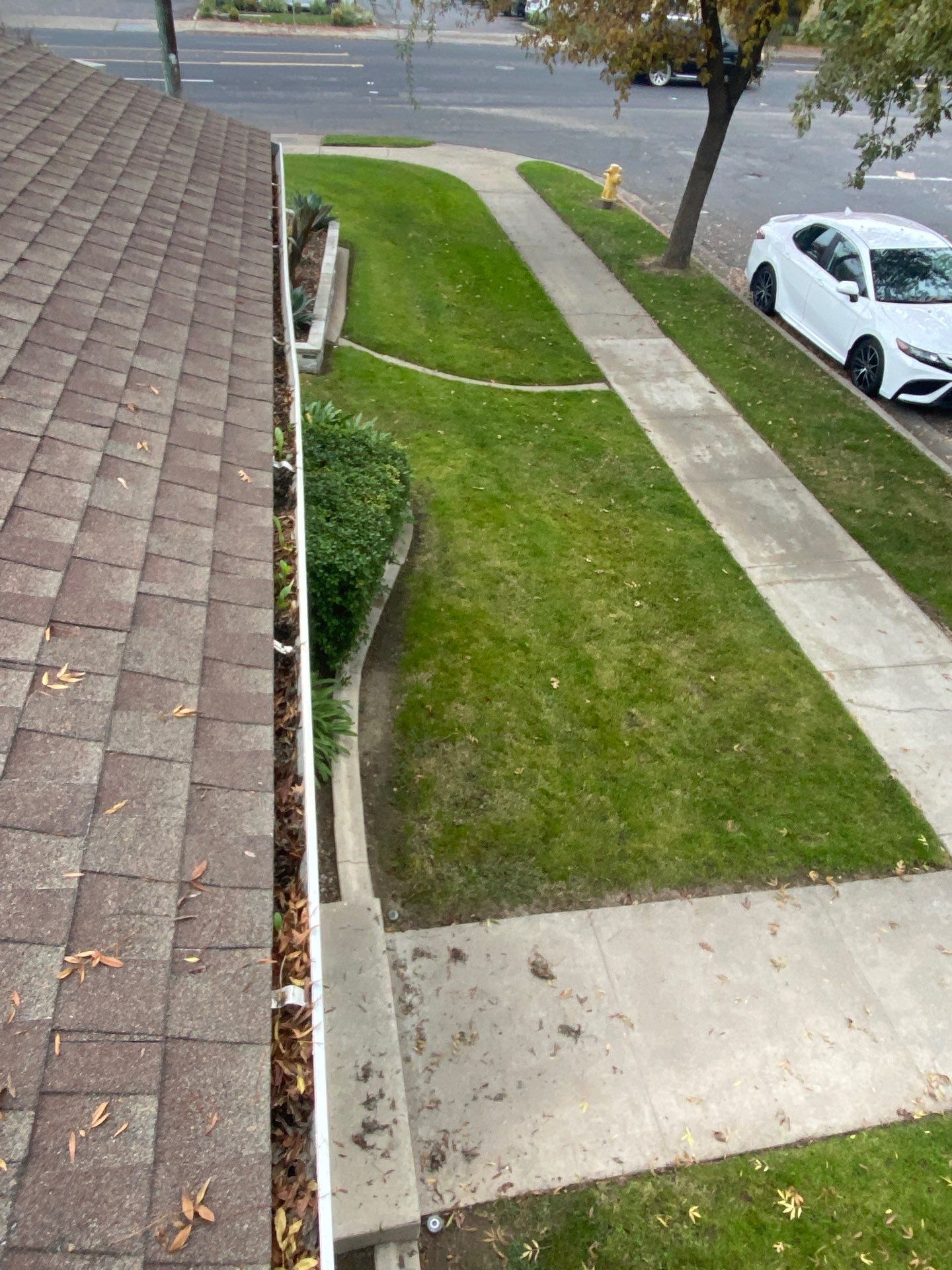 CA gutter cleaning before photo of a gutter full of leaves and debris.