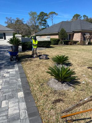Deerwood Resident | Tree Removal & Install