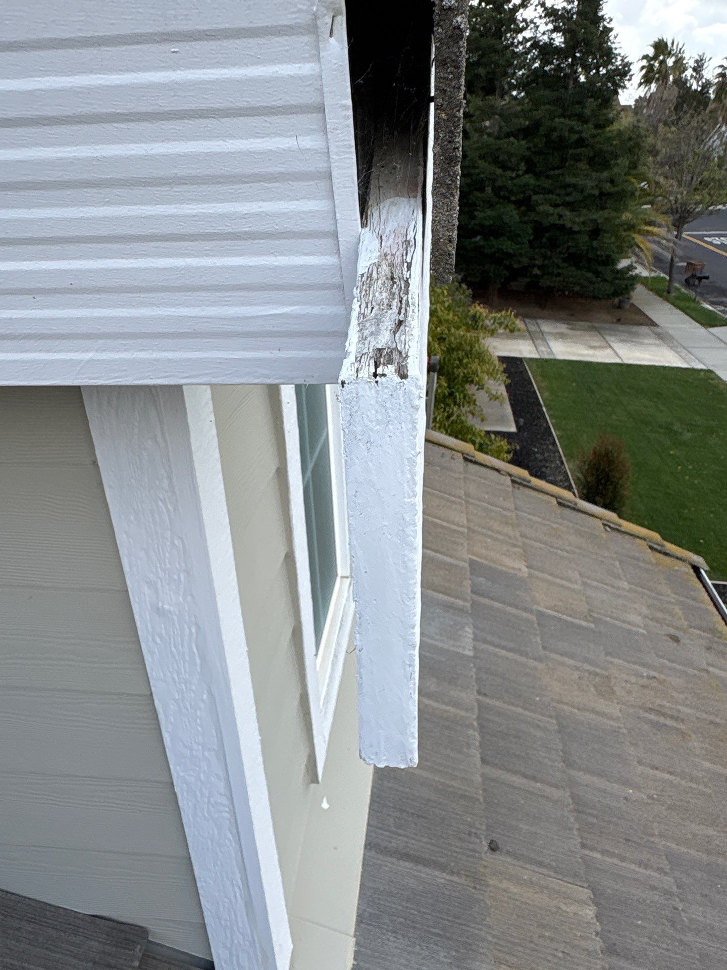Moss Removal by Top Elevation