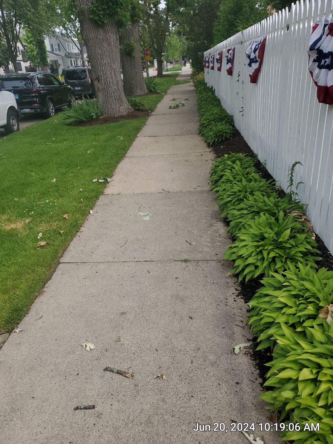concrete cleaning using Algaecide, soft wash soap by Northern Power Washing LLC.