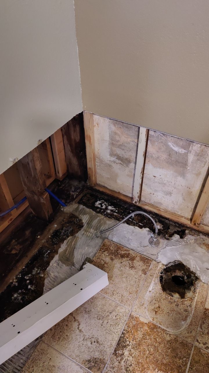 Water Damage and Mold Remediation by Accountable Home Services