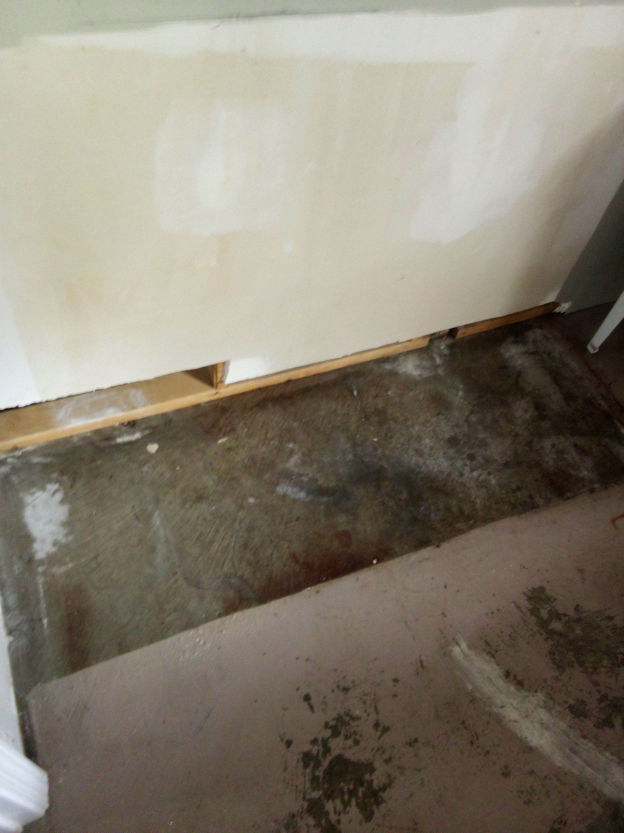 Mold Remediation in Shelbyville, KY by ANR Restoration
