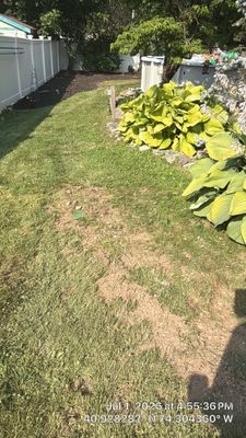 Project in Lincoln Park, NJ