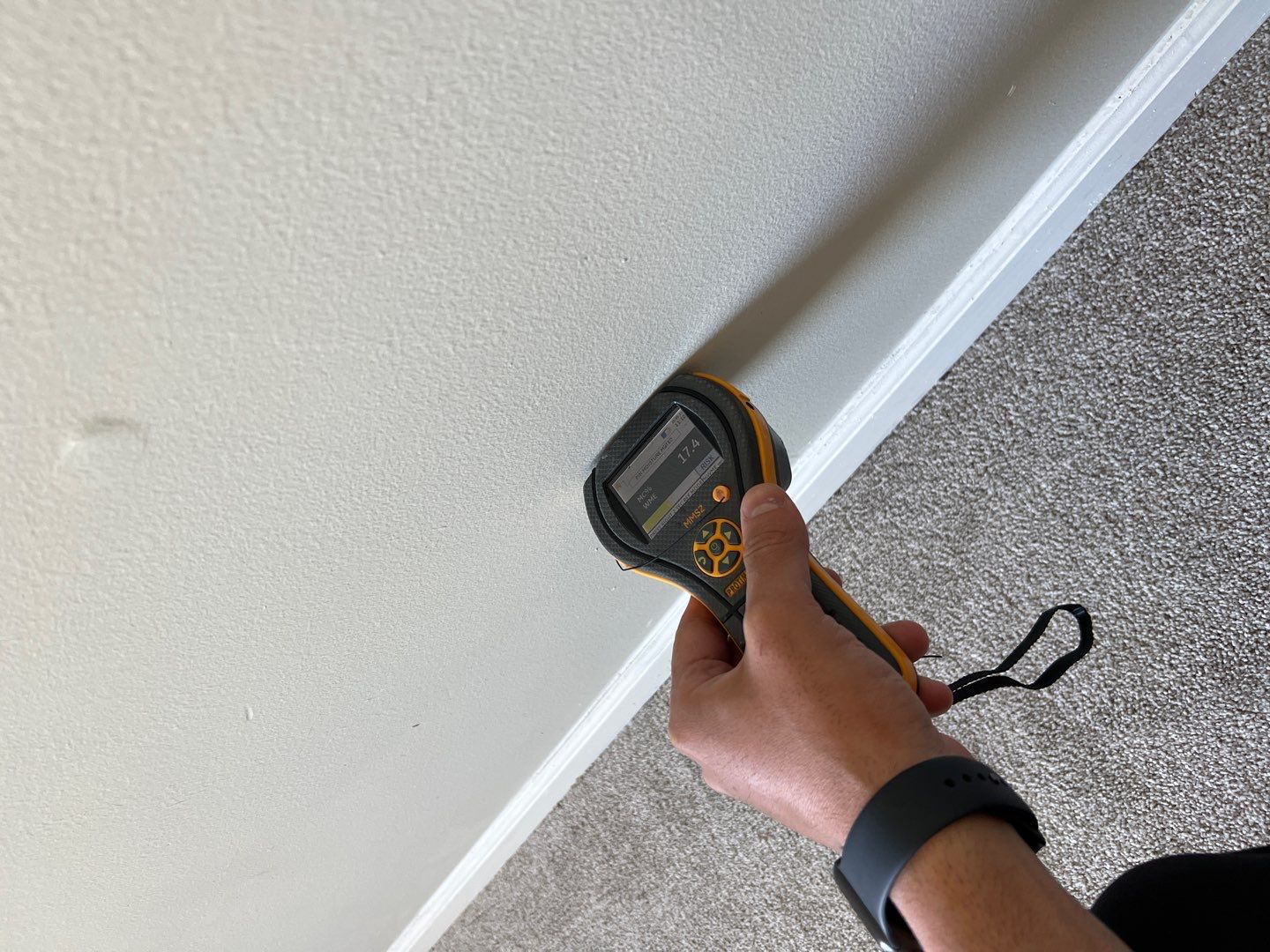 Project in Novi by EzDry Water Mitigation & Property Restoration