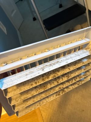 Fire & Smoke Restoration — Fort Myers, FL