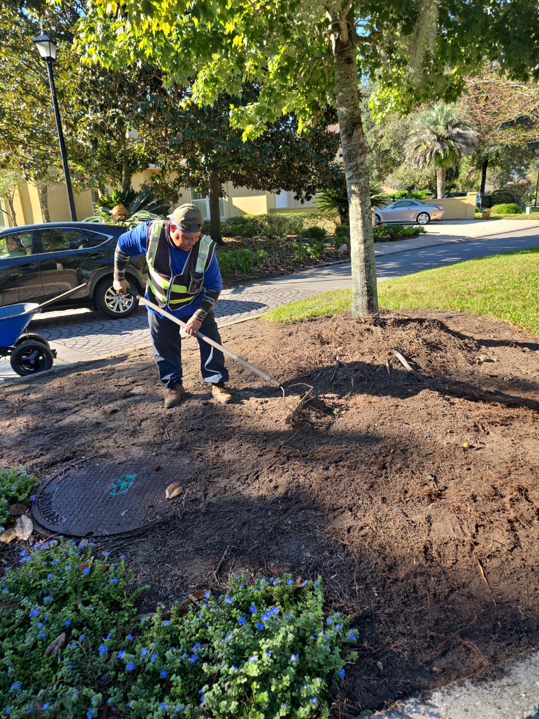 Deerwood Community | Island Landscaping by ProGreen Services