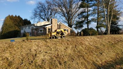 Tree Removal using Tree Removal