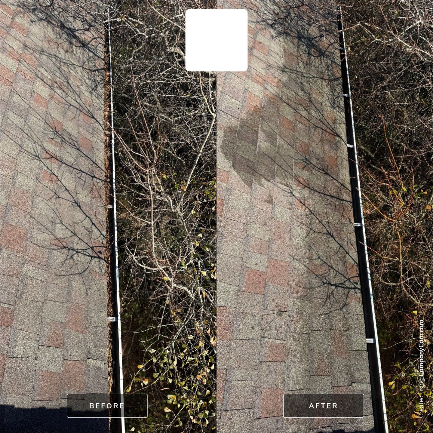 Apartment Gutter Cleaning by Shark Power Washing