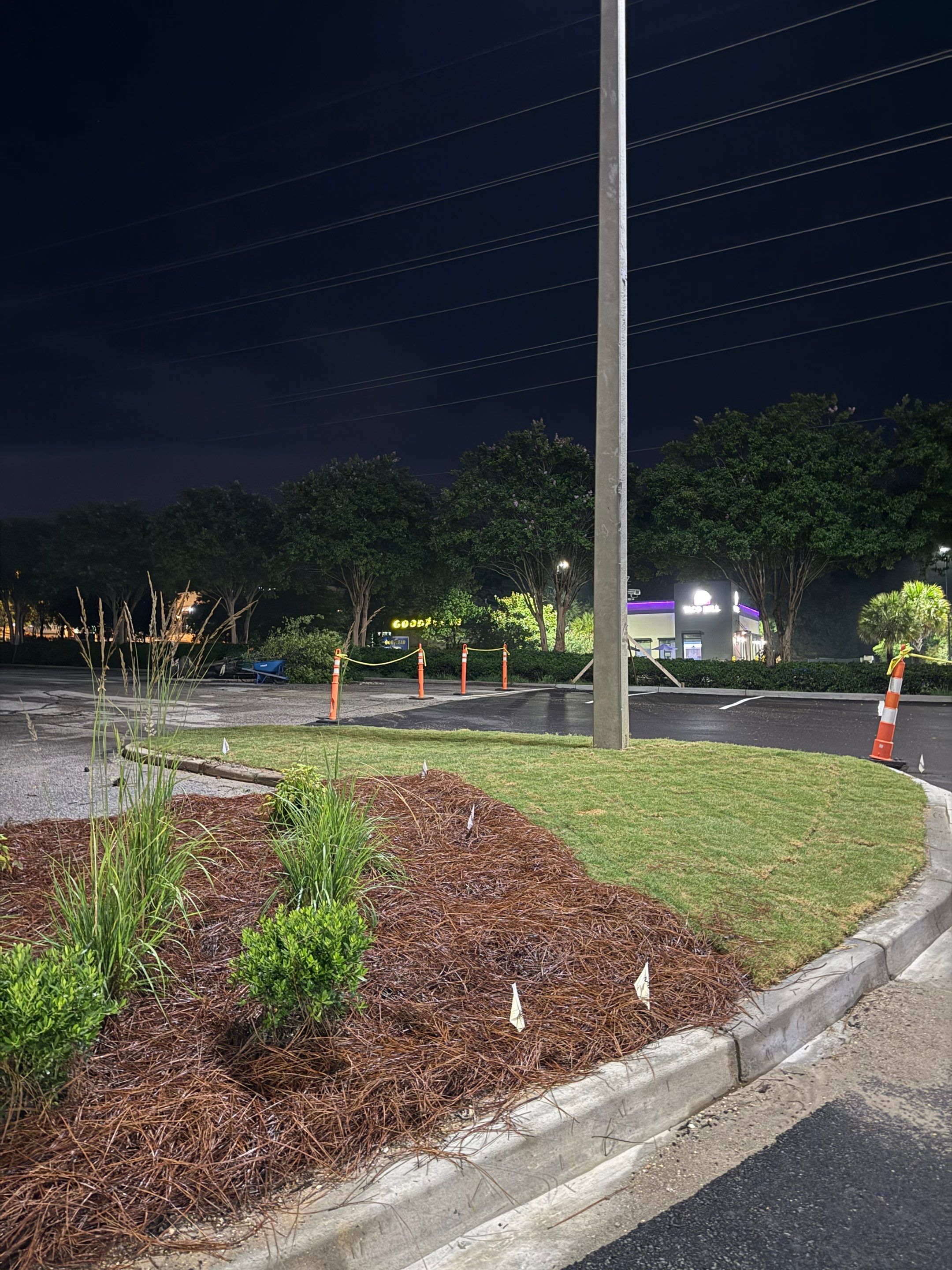 FTB Haribson Bank Project Columbia SC - (Commercial) by Carolina-Metro Landscape, Inc