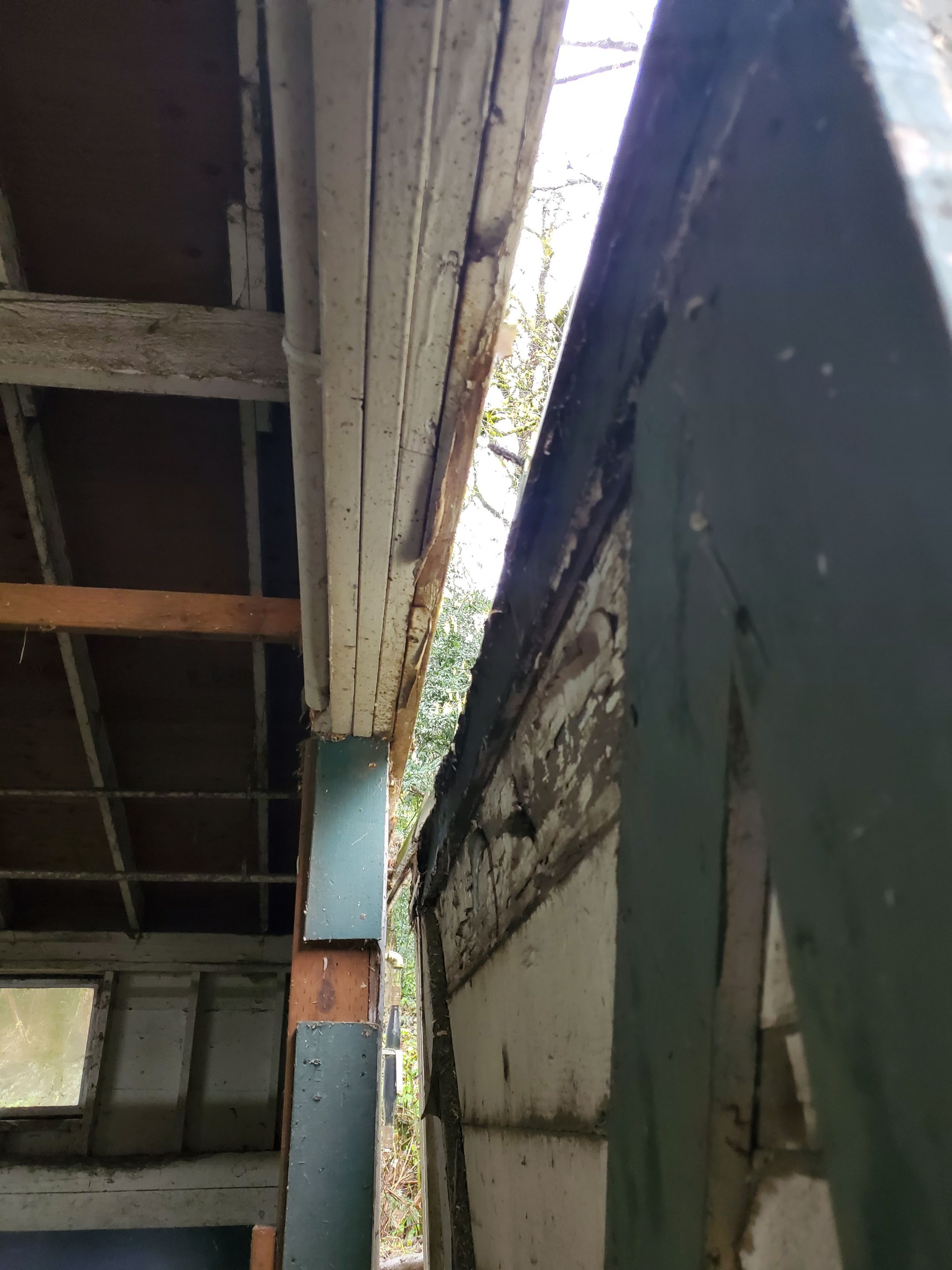 Lake Oswego Hunt Club - Storm Damage  by Construction Now LLC