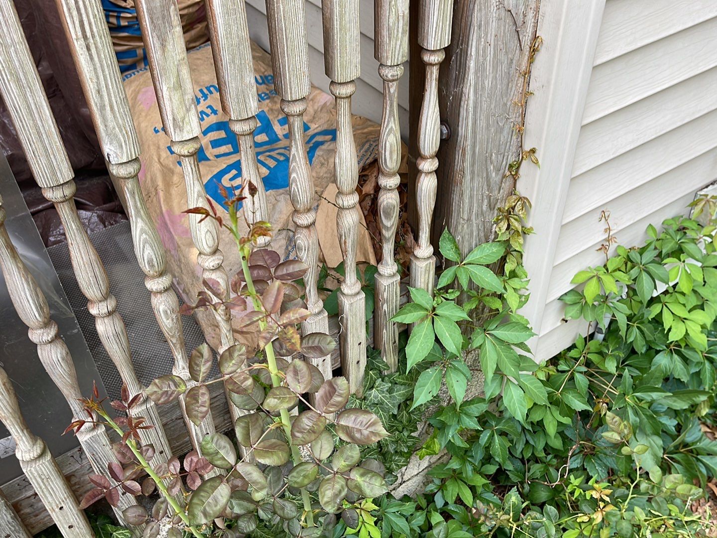 Gutter Installation using 5k White gutters by A Plus Exterior