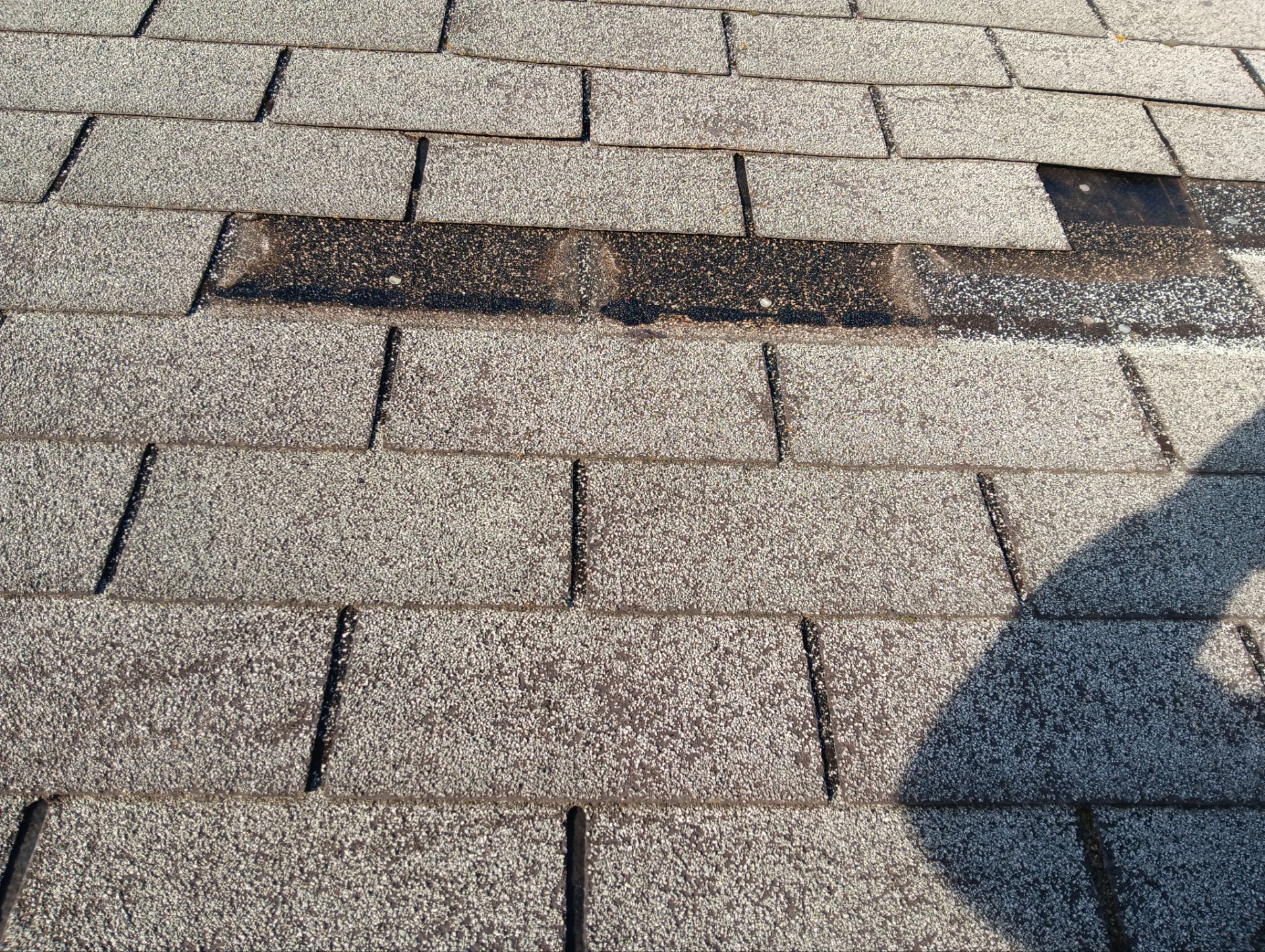 Chris Becher by Silver Leaf Contracting 