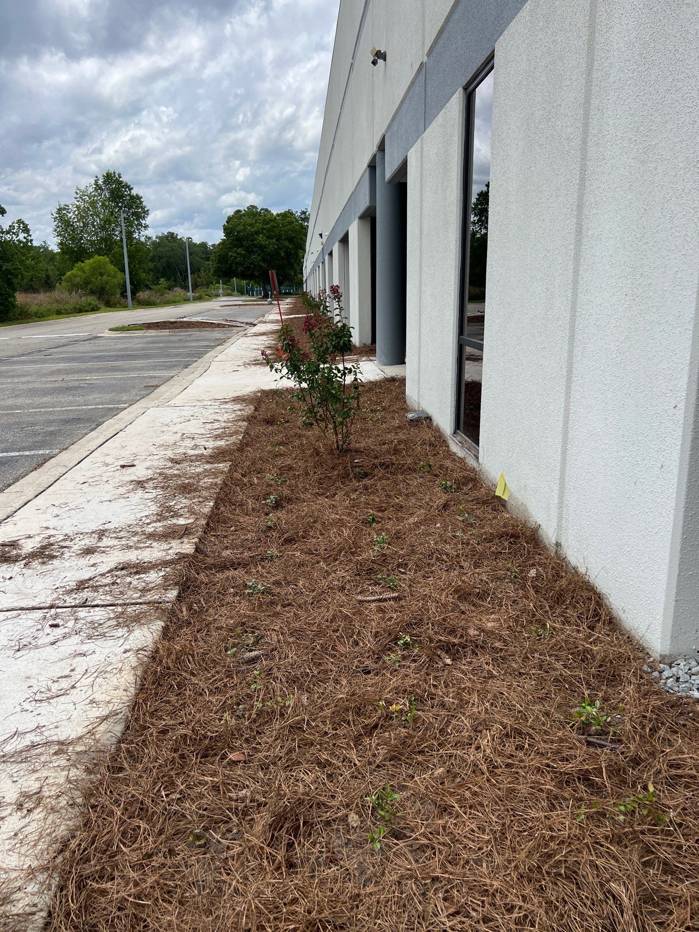 Large Landscape Project | Center Point by ProGreen Services