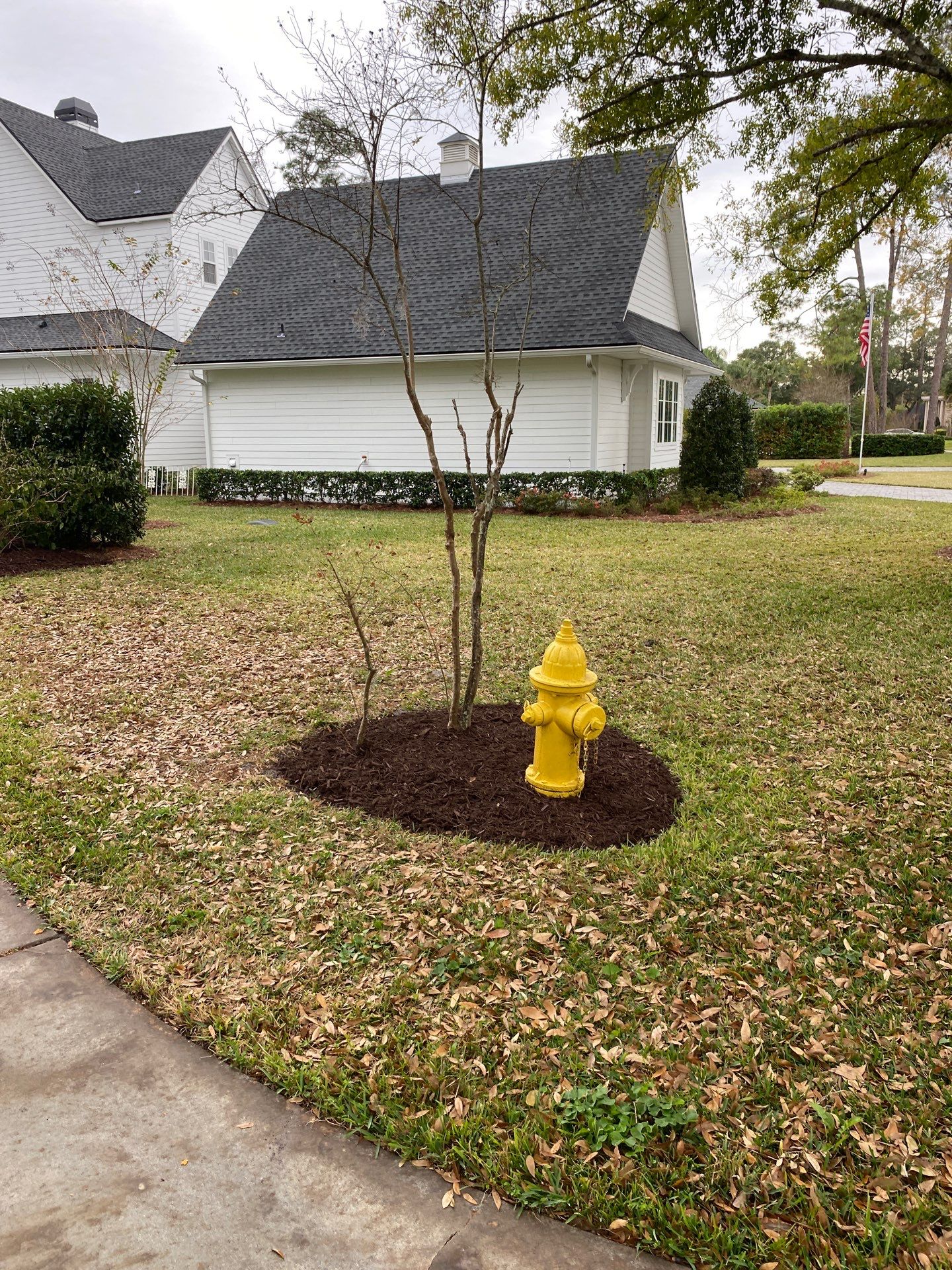 Deerwood Resident | Mulch Freshen Up Project by ProGreen Services