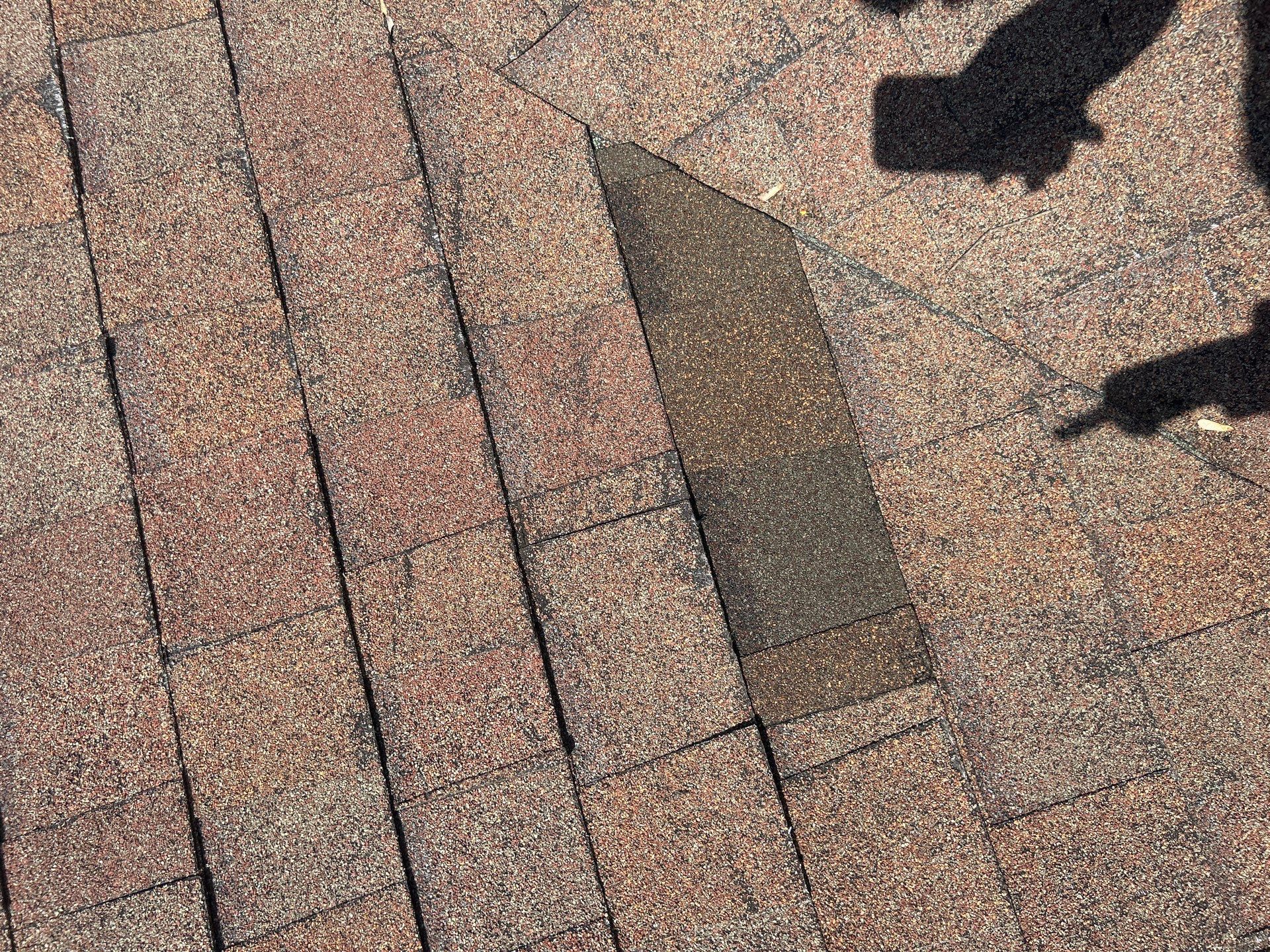 Project in Westminster by Roofsters