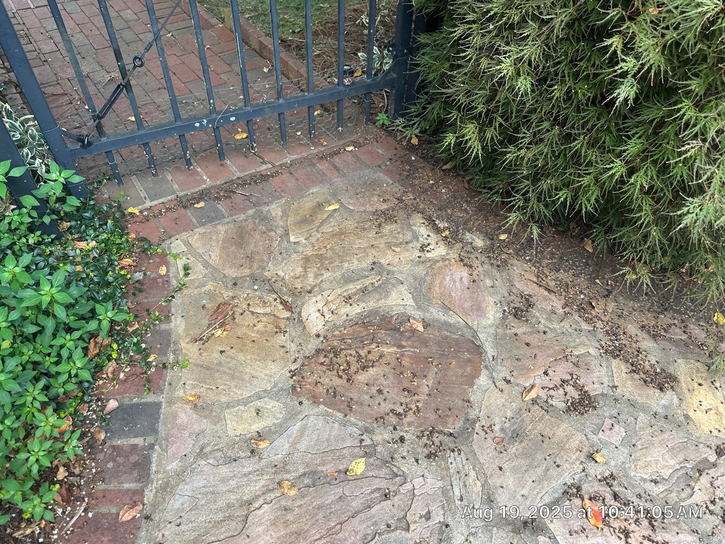 Pavers using Concrete Sealant by DuraSeal