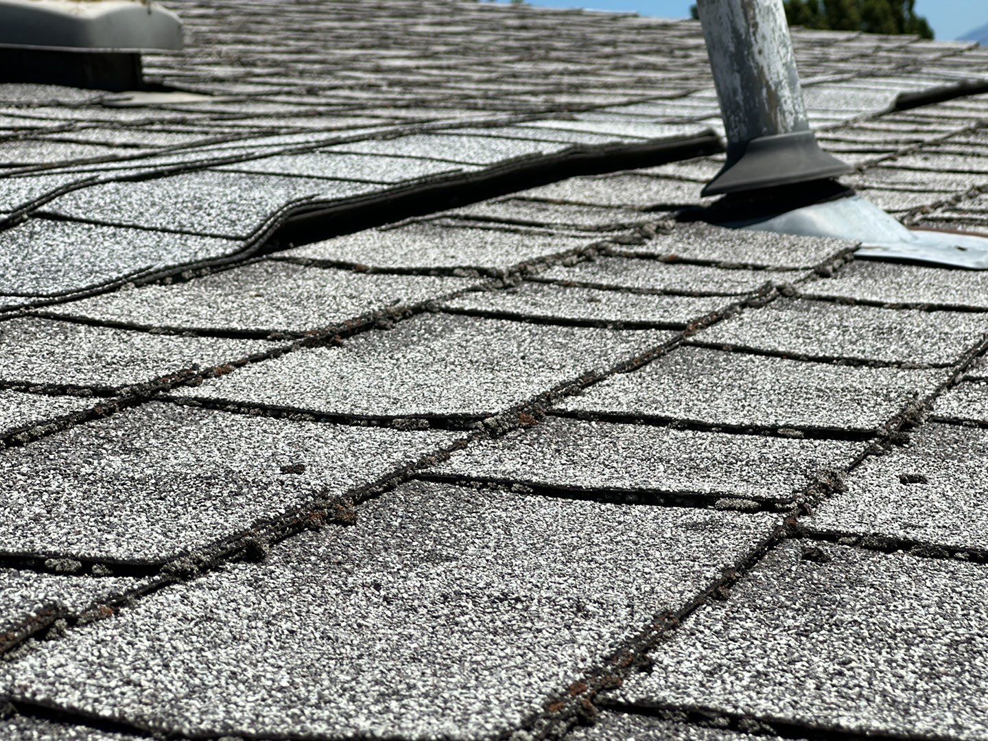 Graphite Shingles by Reimagine Roofing