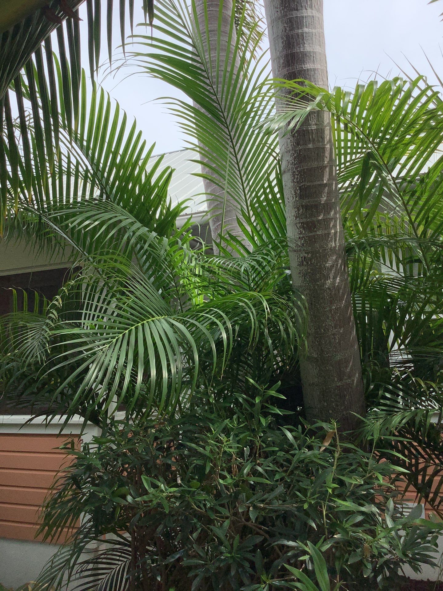 Half-Round Gutters Installation in Boca Grande FL by Gutter Professors