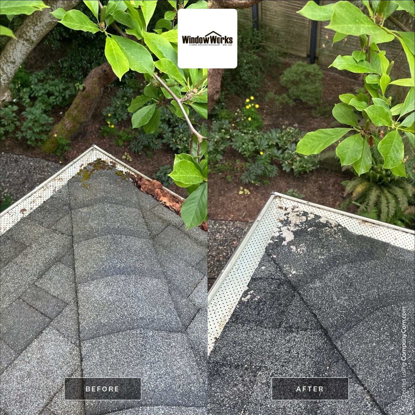 AGS Roof Wash, Soft Wash, and Window Cleaning in Seattle by WindowWorks