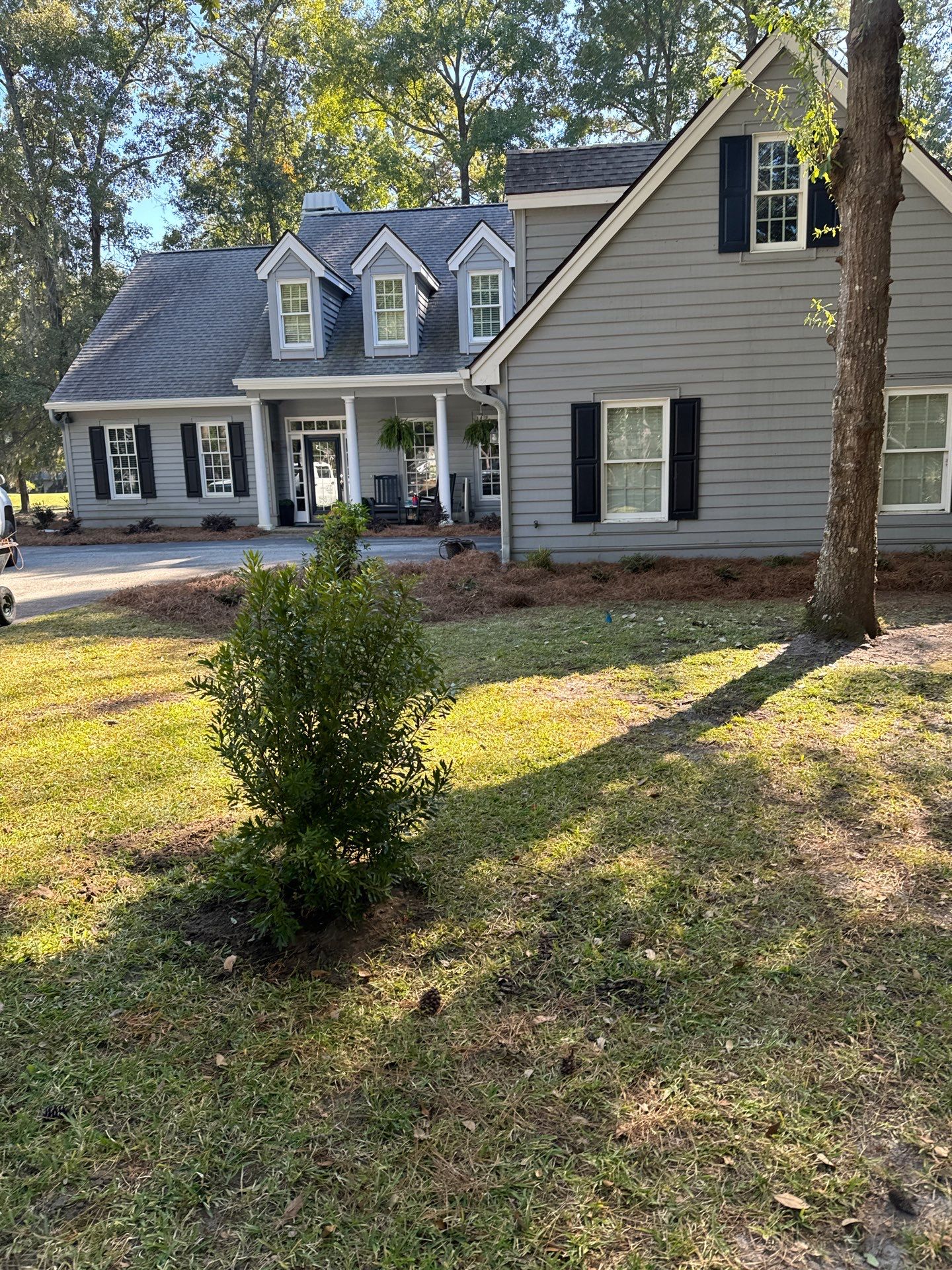 Concrete Walkway Installation and Landscape Refresh in Hilton Head Island by Lowcountry Scapes, LLC