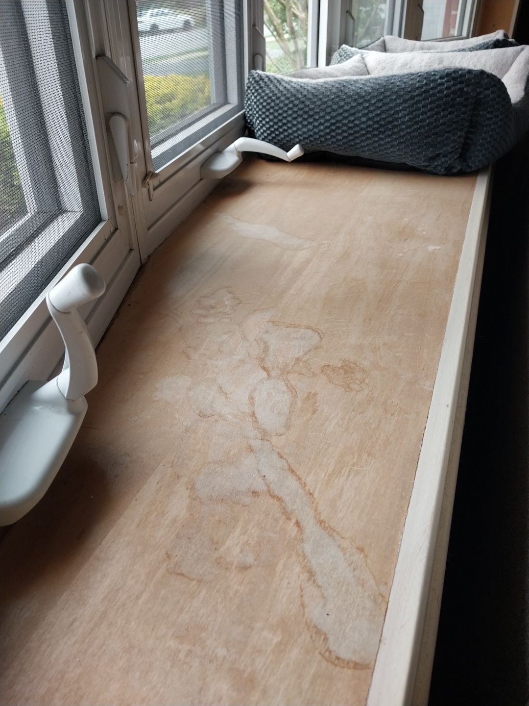 Window Repair using Sherwin Williams Emerald  by Laser Focused Solutions LLC