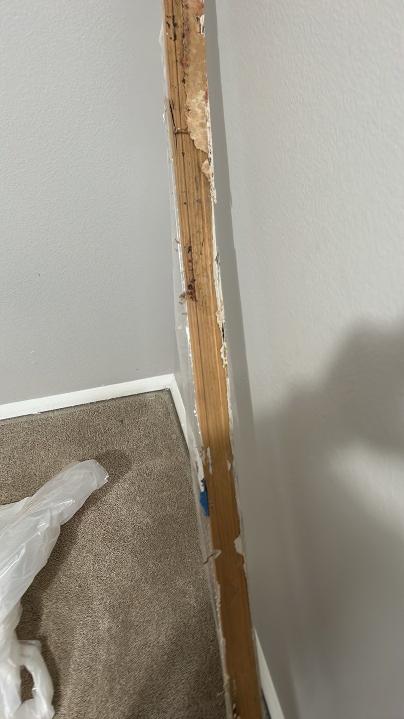 Mold Damage Repairs by Accountable Home Services