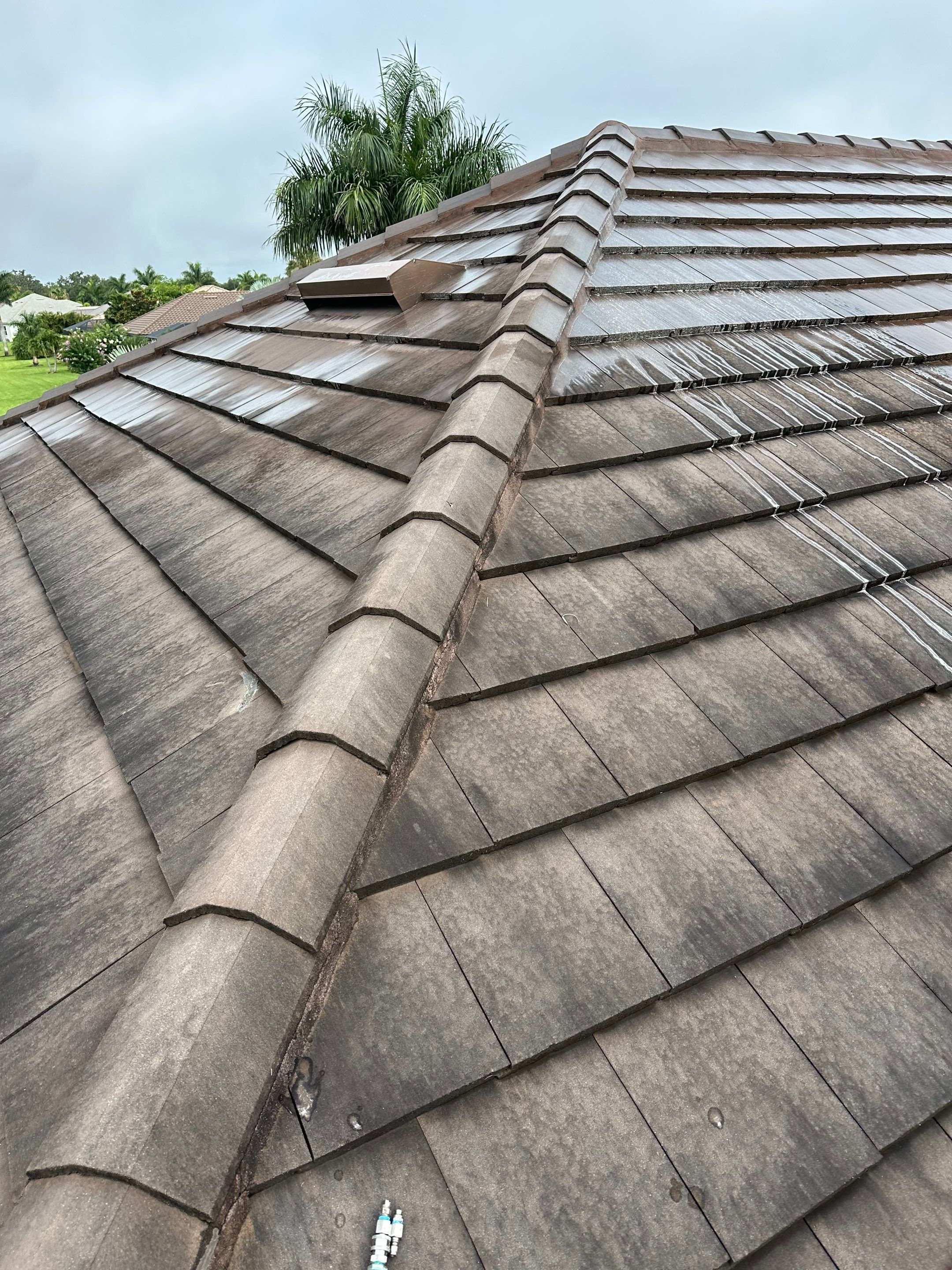 Flat Tile Roof Cleaning, House Wash & Sidewalk Cleaning in Enclave at Country Meadows, Bradenton, FL | Sunshine AquaWash by Sunshine AquaWash