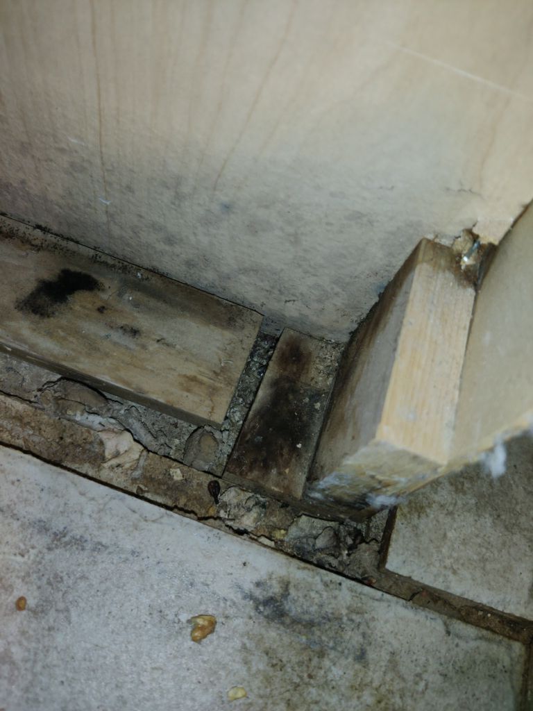 Mold Remediation in Kitchen by Accountable Home Services