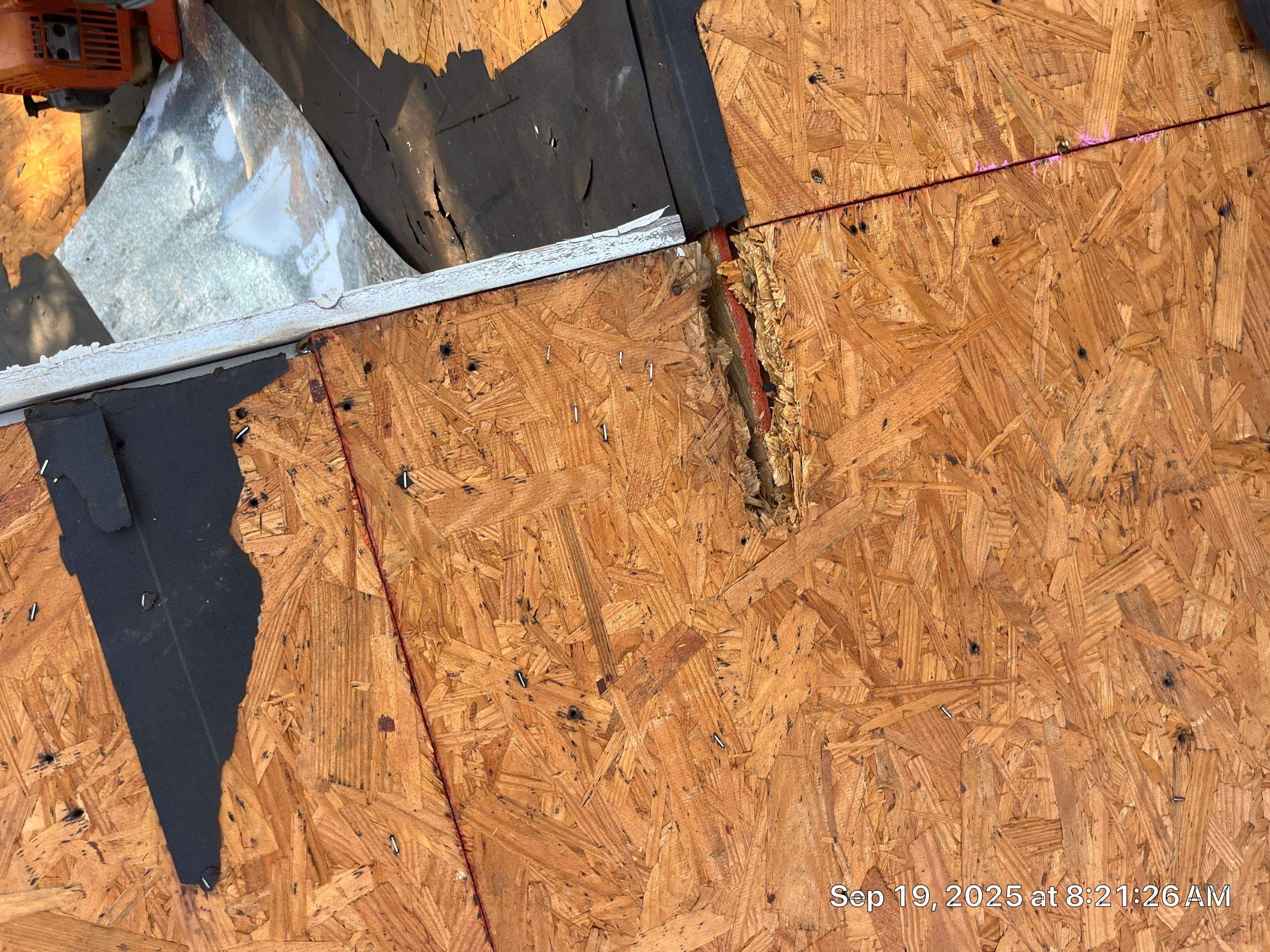 Project in Spring by Roof Guard And Construction