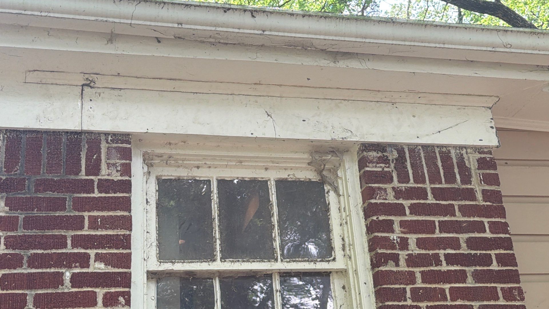Bee Auth-ority by Rockwall Honey Bee Company
