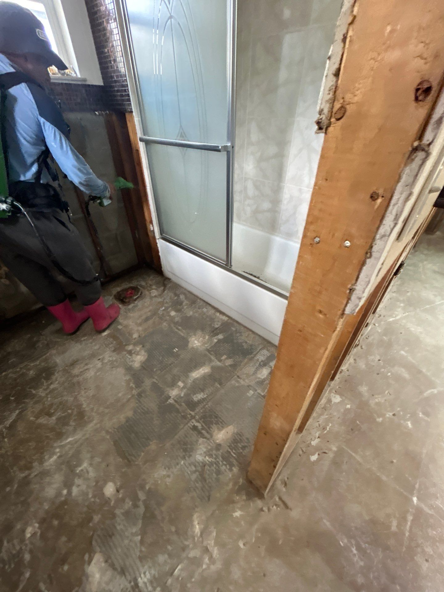 Mold Remediation + Reconstruction Bradenton by Ampm Restoration Services