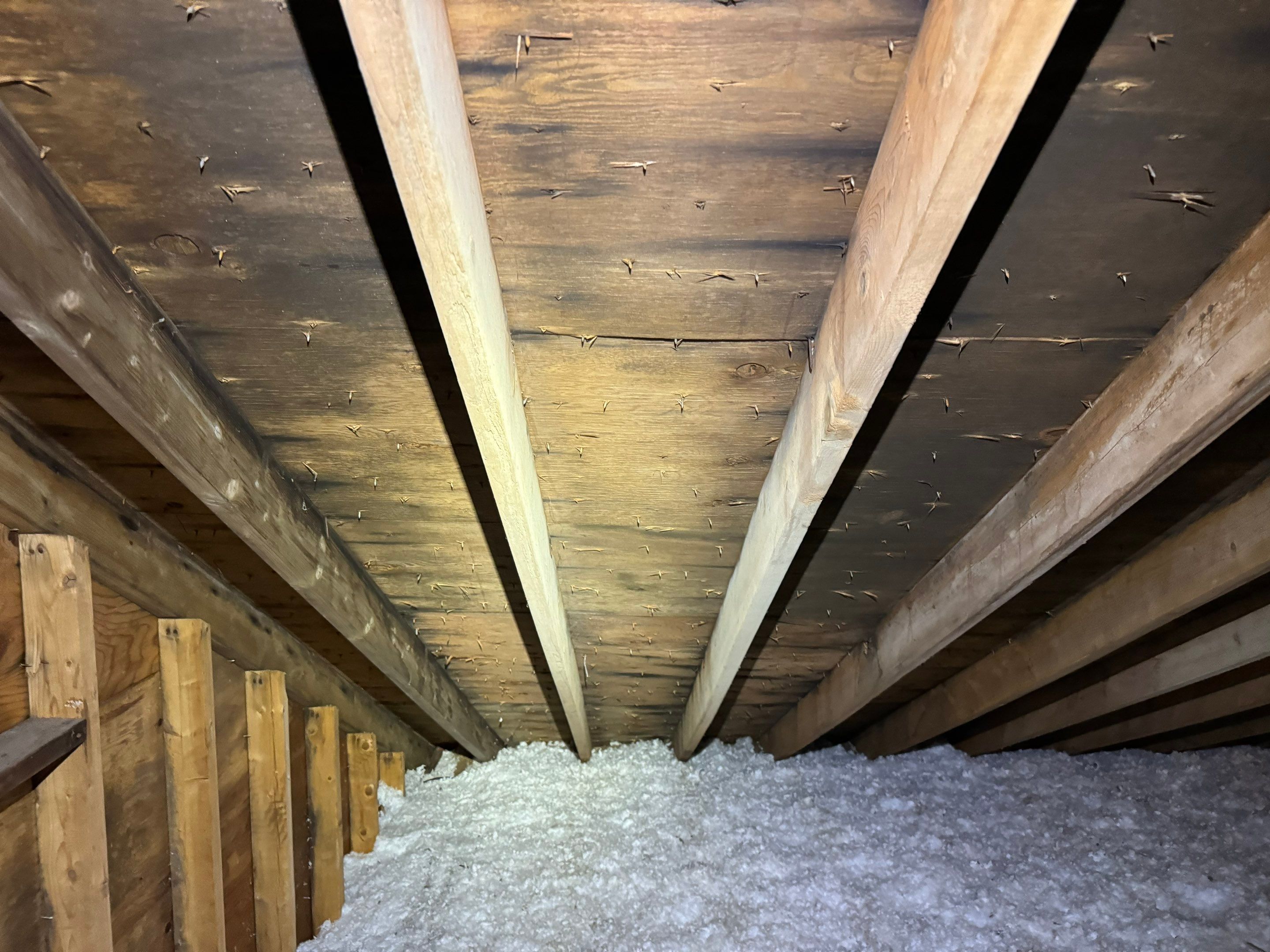 Attic Mold Remediation by Home Guarantee, LLC
