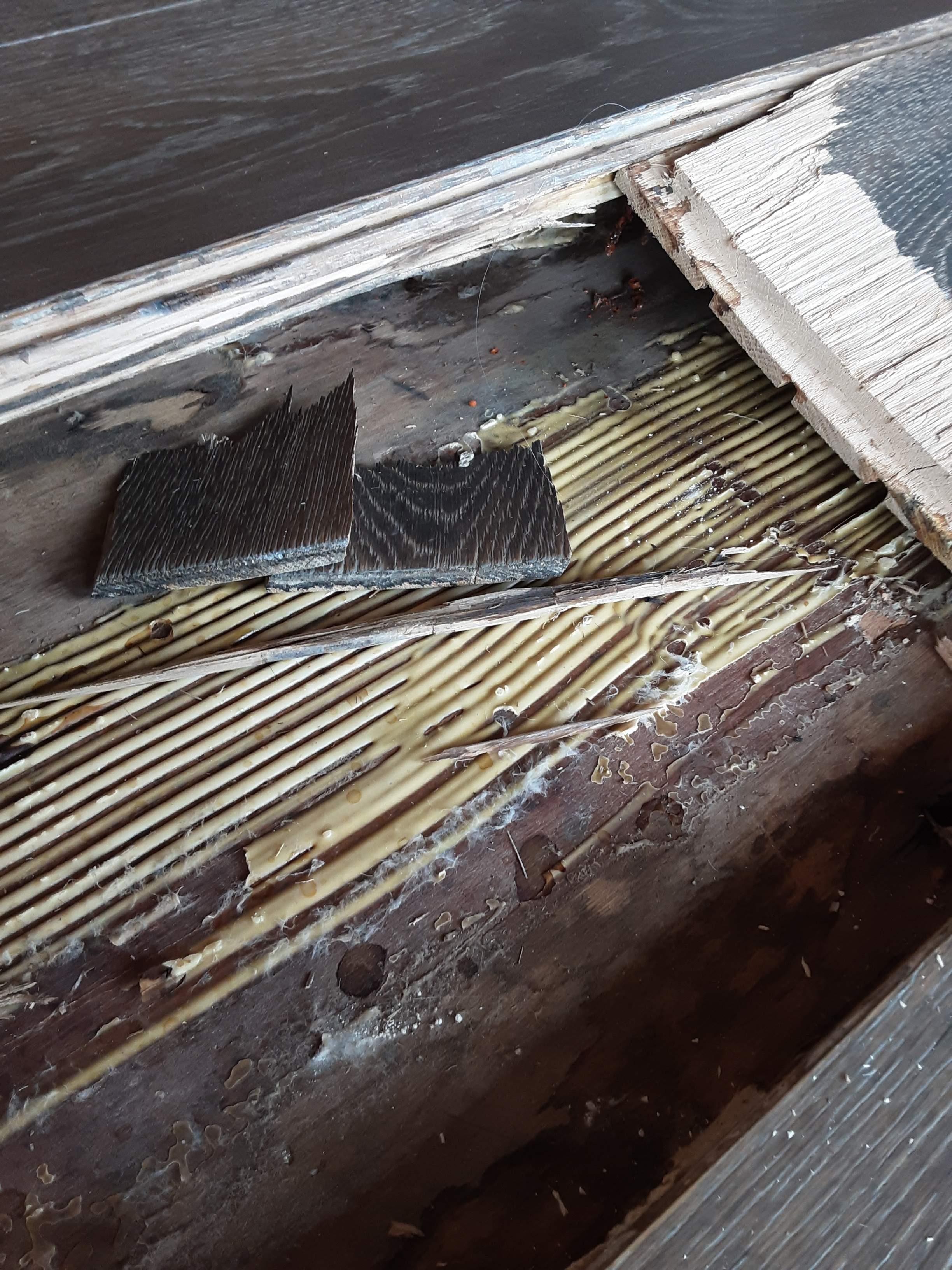 Interior water damage inspection by ASAP Roofing & Exteriors
