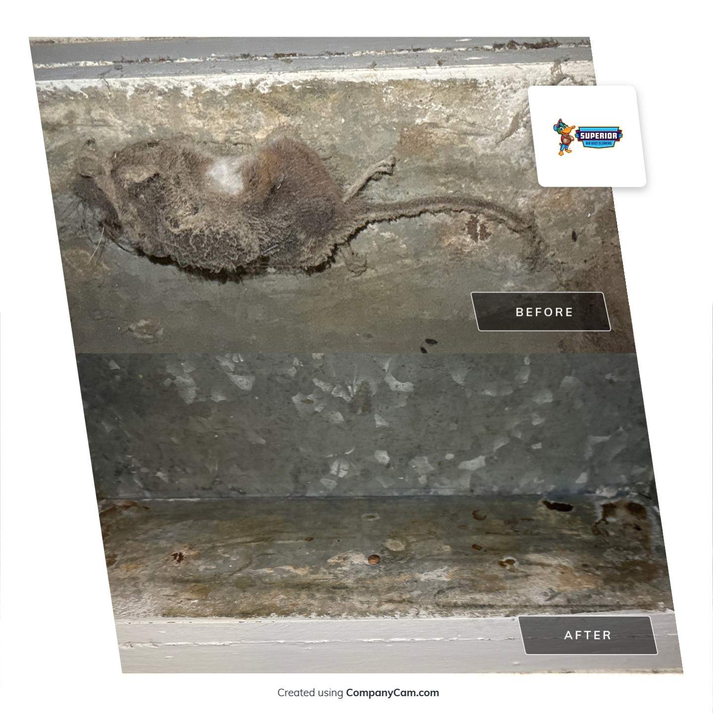 Air Duct Cleaning in Youngstown, OH by Superior Air Duct Cleaning