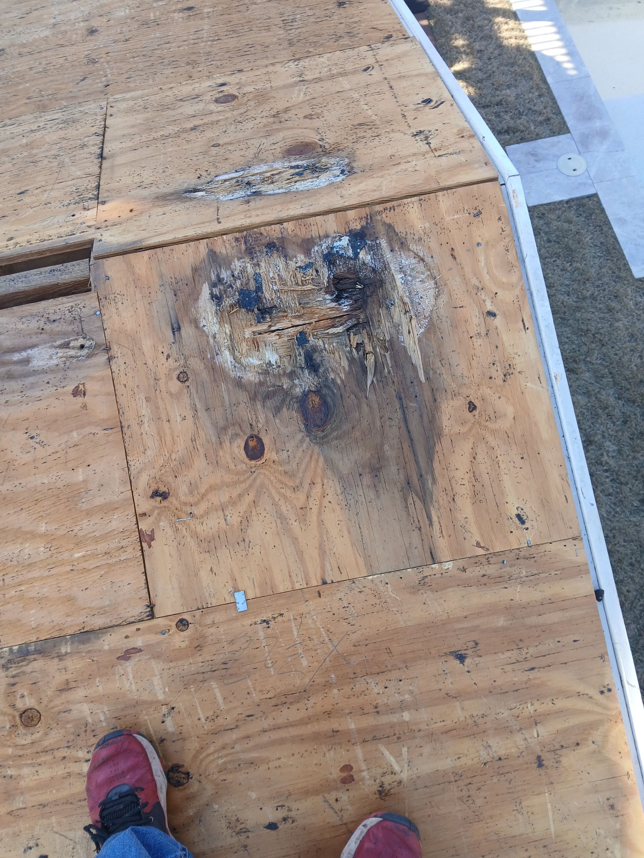 Custom skylights and all by REPS OF TEXAS