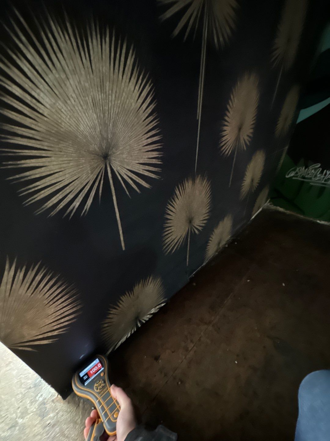 Project in Royal Oak by EzDry Water Mitigation & Property Restoration