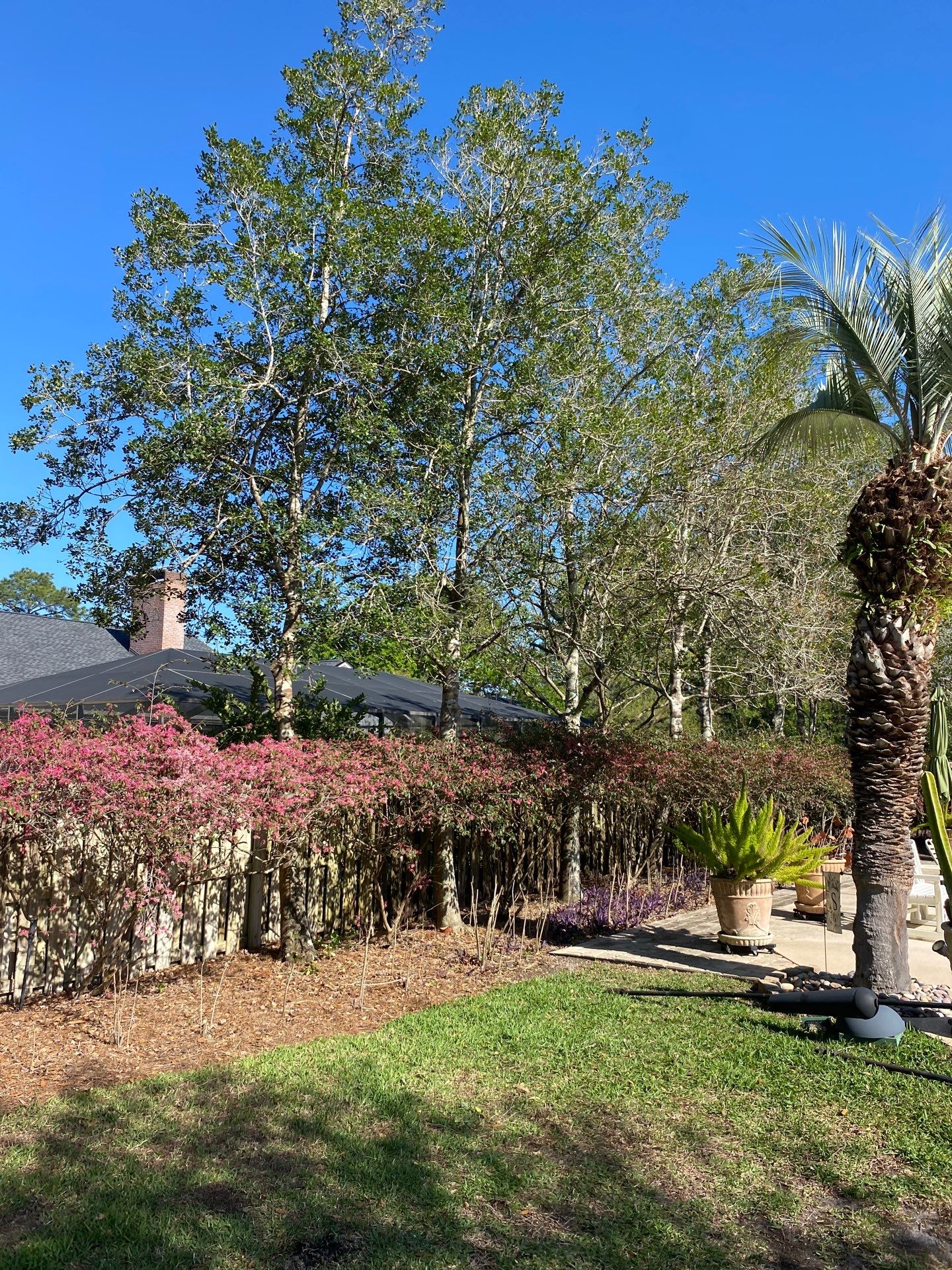 Deerwood Resident | Tree Service by ProGreen Services