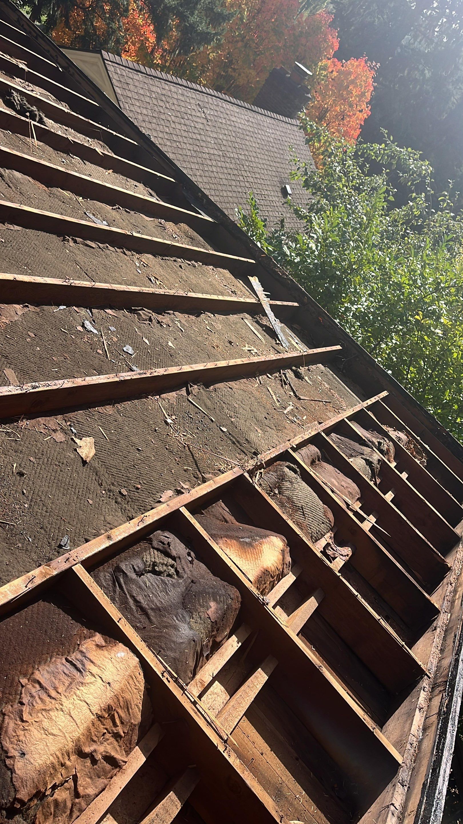 Seattle WA, GAF Everguard TPO  by Proline Roofing & Restoration LLC