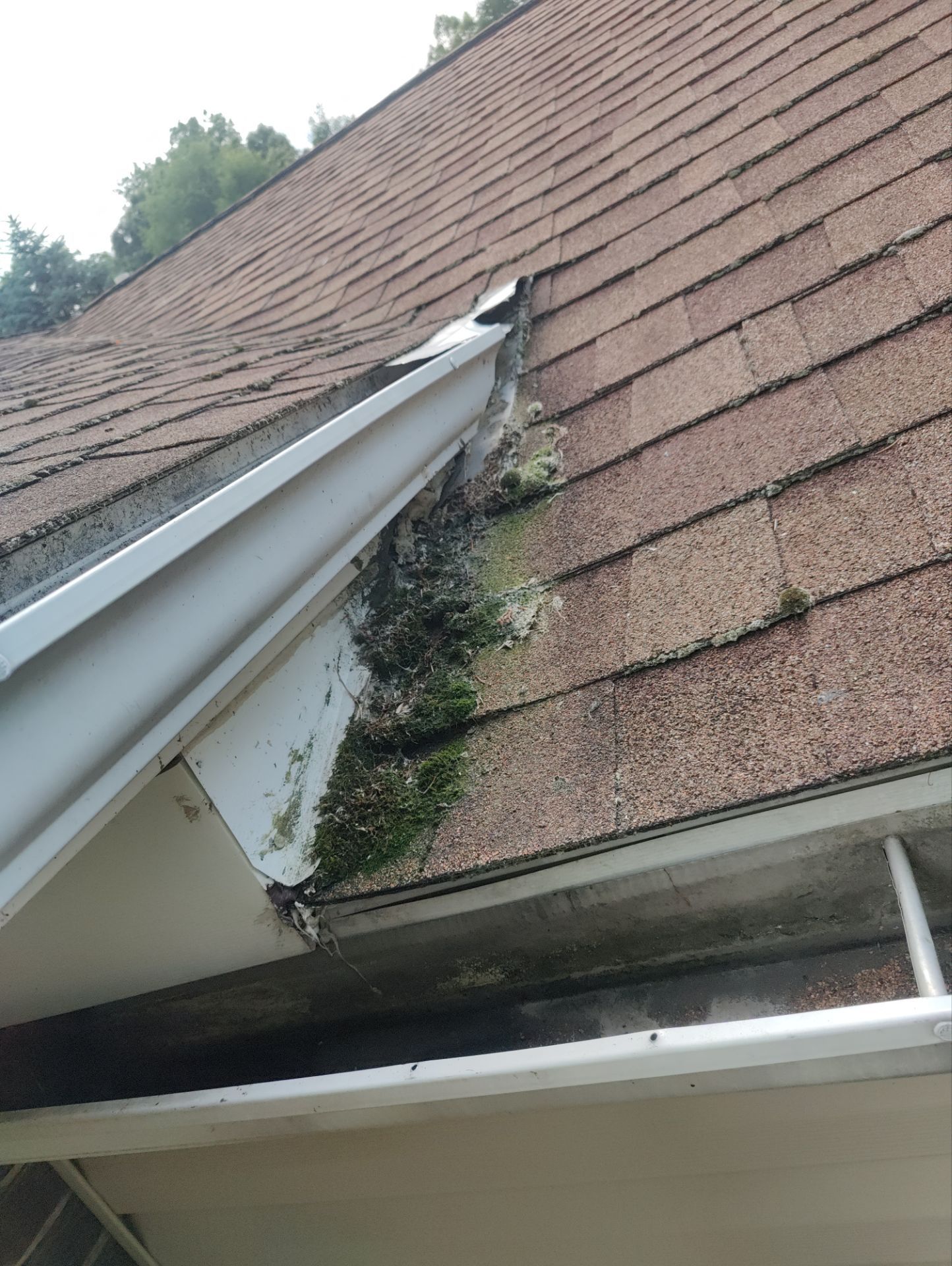 Roof Replacement using Owens Corning Williamsburg Grey by 180 Contractors