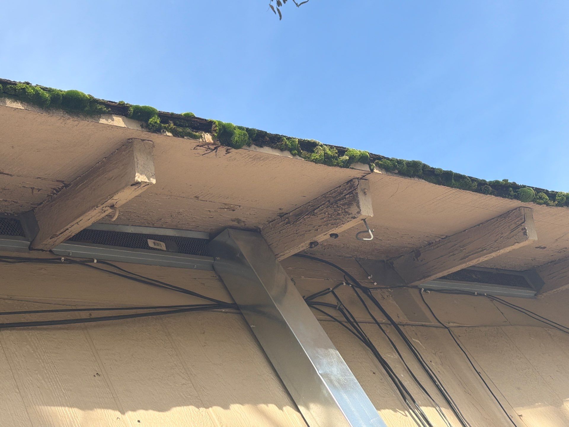 Roof Rejuvenation using Roof Maxx Treatment by Roof Maxx of Folsom