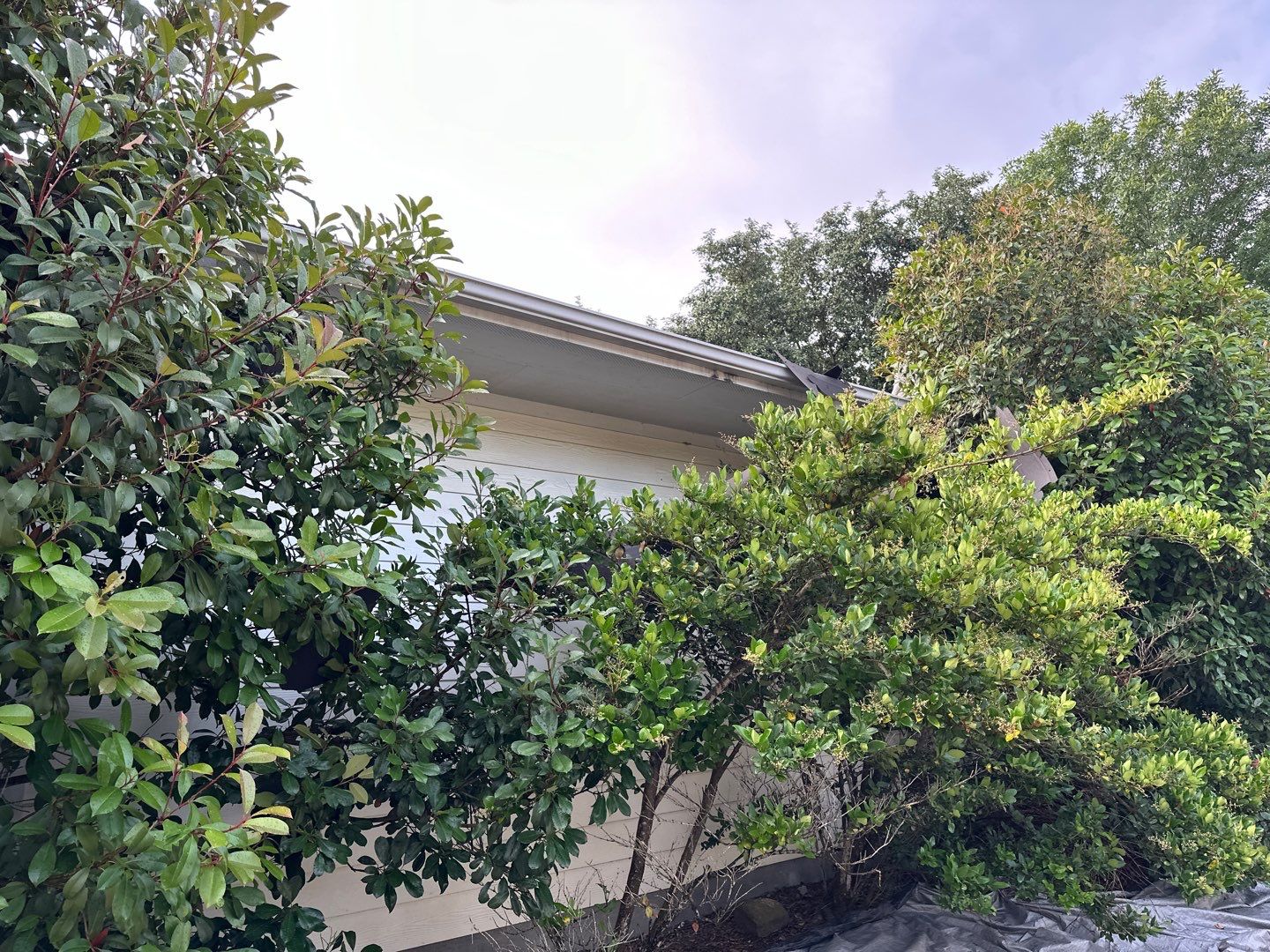 Residential Roofing Installation using Owen's Corning Duration (Lifetime) Shingles by Roof Repair Company