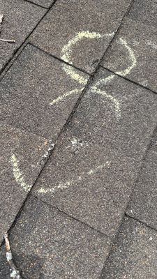 Turtle Shell gutter protection installation in Naperville, IL 60563, photograph 27