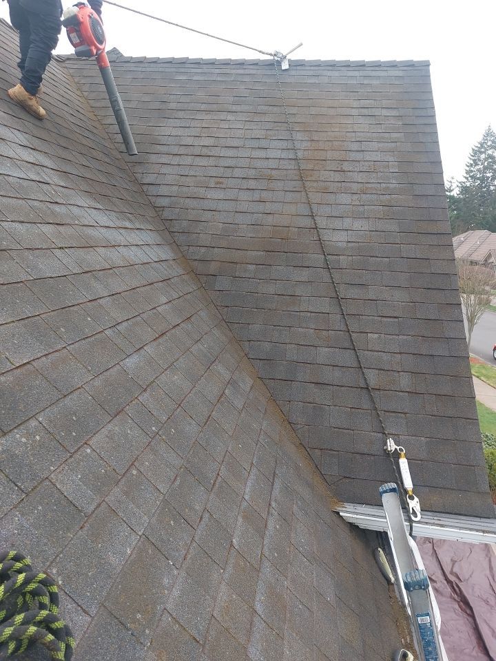 Roof Cleaning  using Moss Treatment  by BEST Roofing & Waterproofing